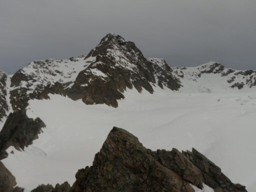 Estelette (35).JPG - C'est droit devant